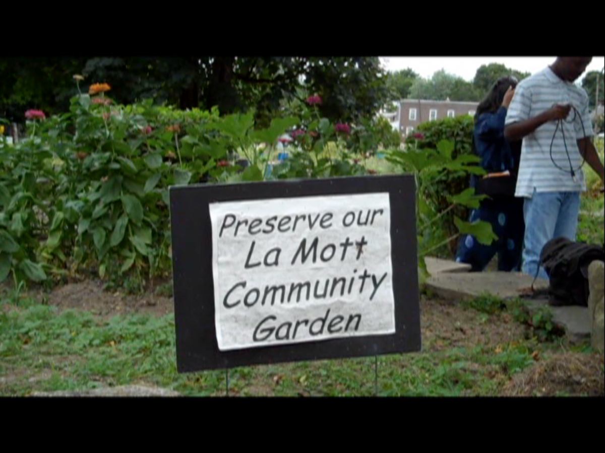 La Mott Community Garden A Very Precious Place Scribe